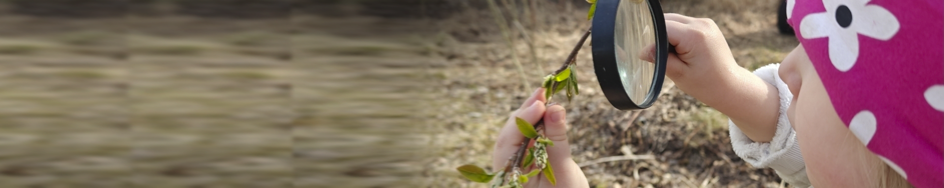Lapsi tutkii oksaa suurennuslasilla ulkona keväisessä maastossa. Oksassa on vihreitä silmuja, ja taustalla näkyy ruskeaa kuivaa heinikkoa. Lapsella on päässään pinkki pipo, jossa on valkoisia kukkakuvioita.